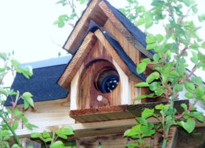 Hidden Bird house camera