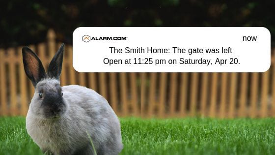 Easter Bunny escapes through an open gate